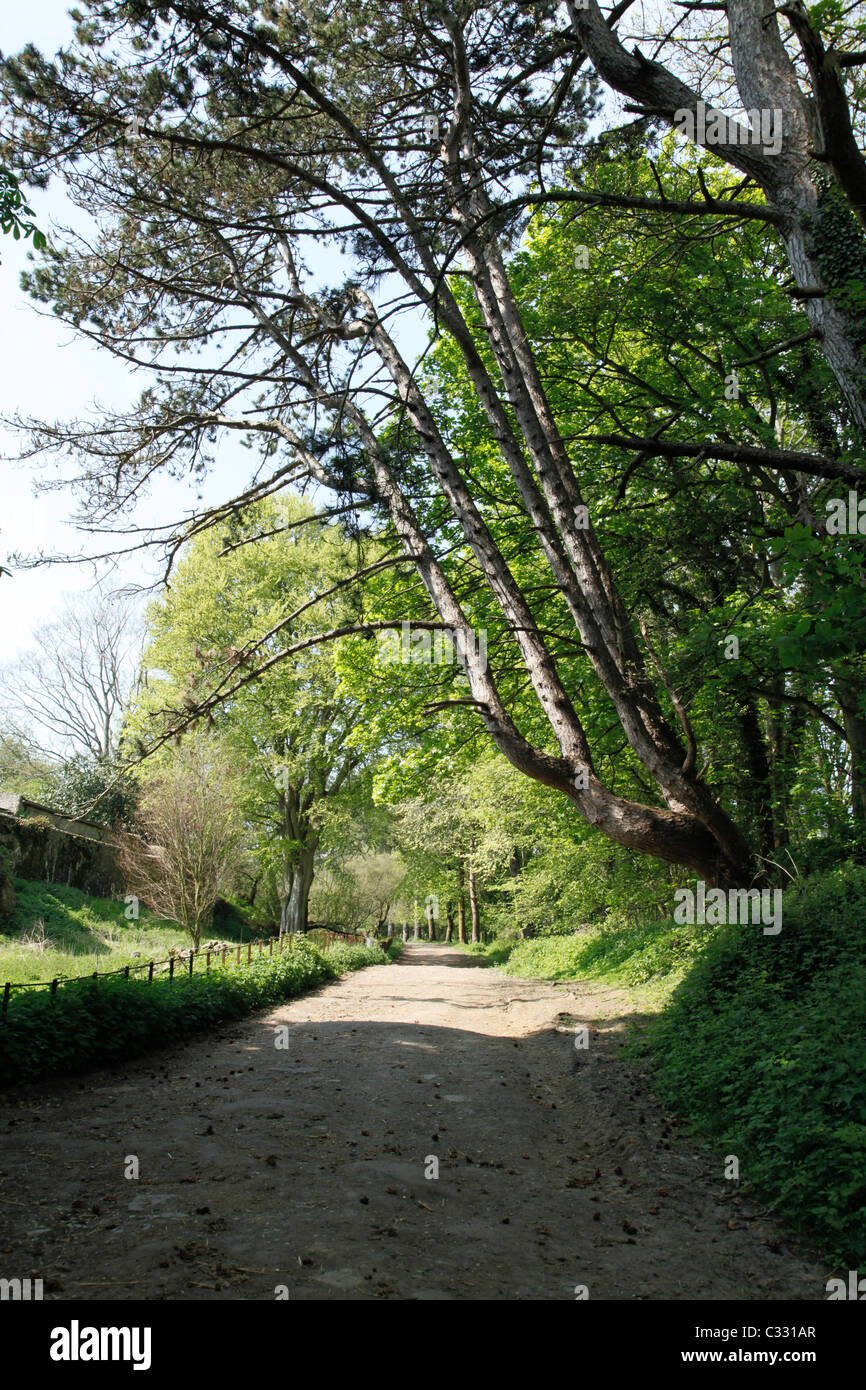 Footpath Saltwood Hythe Kent Stock Photo Alamy
