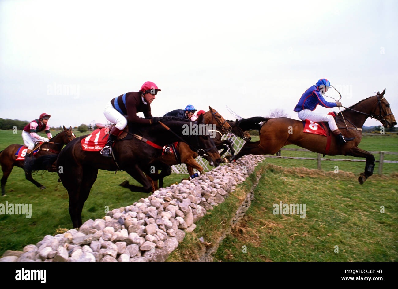 Naas, Co Kildare, Ireland, Punchestown Racecourse, Steeplechase, Stock Photo