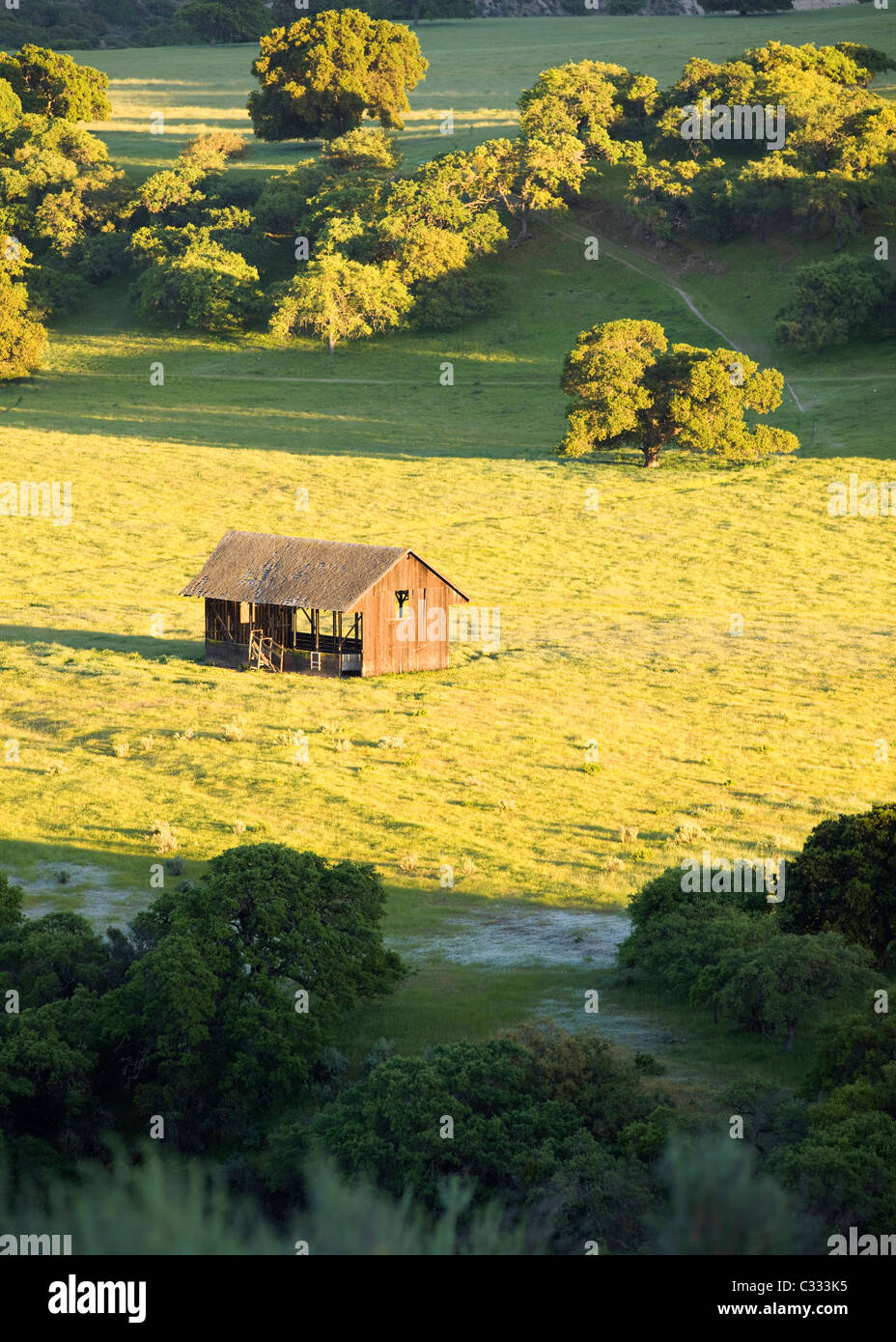 Small weathered barn in the middle of grassy field Stock Photo