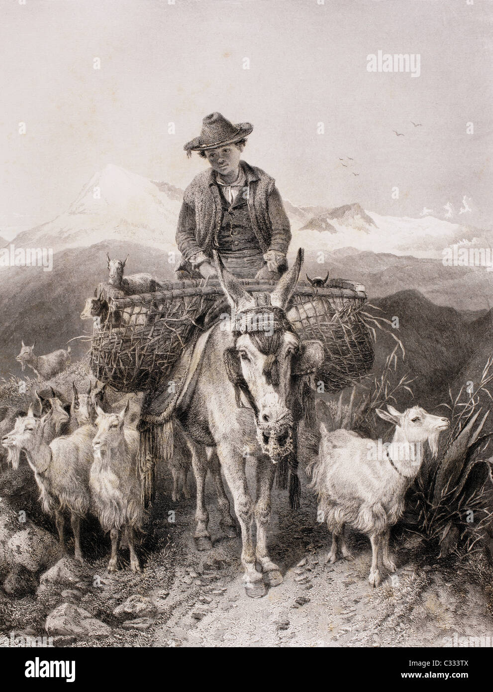 Boy Riding A Goat High Resolution Stock Photography and Images - Alamy