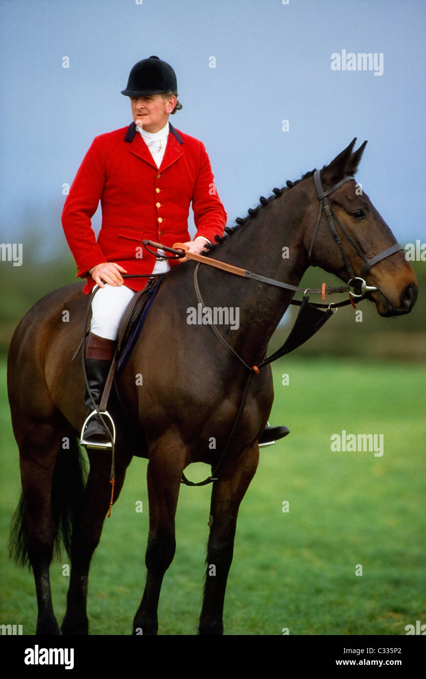 Ireland, Horse Sport, Hunting Stock Photo Alamy