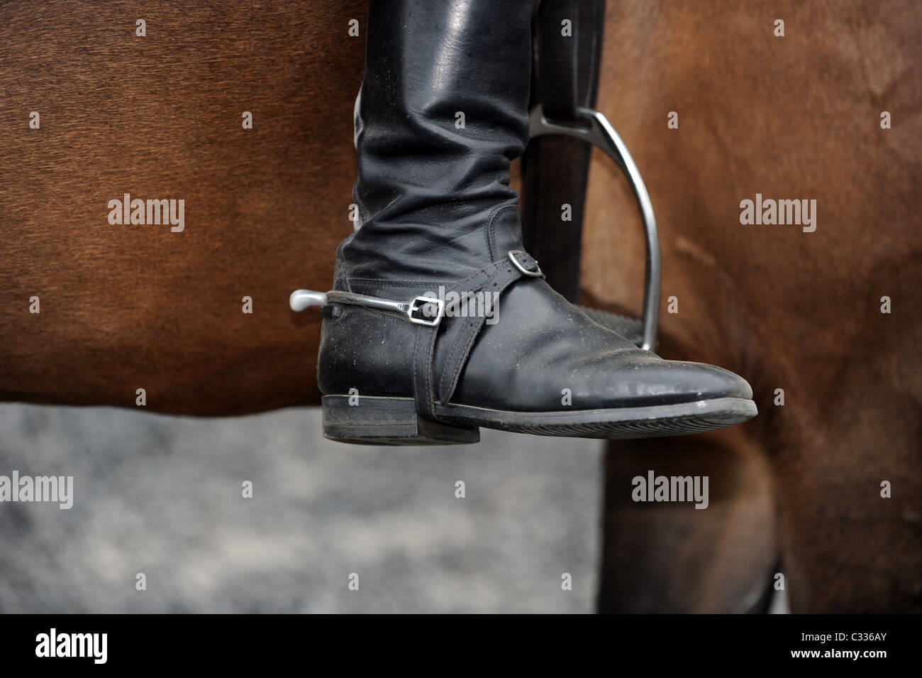Riding spur riding hires stock photography and images Alamy