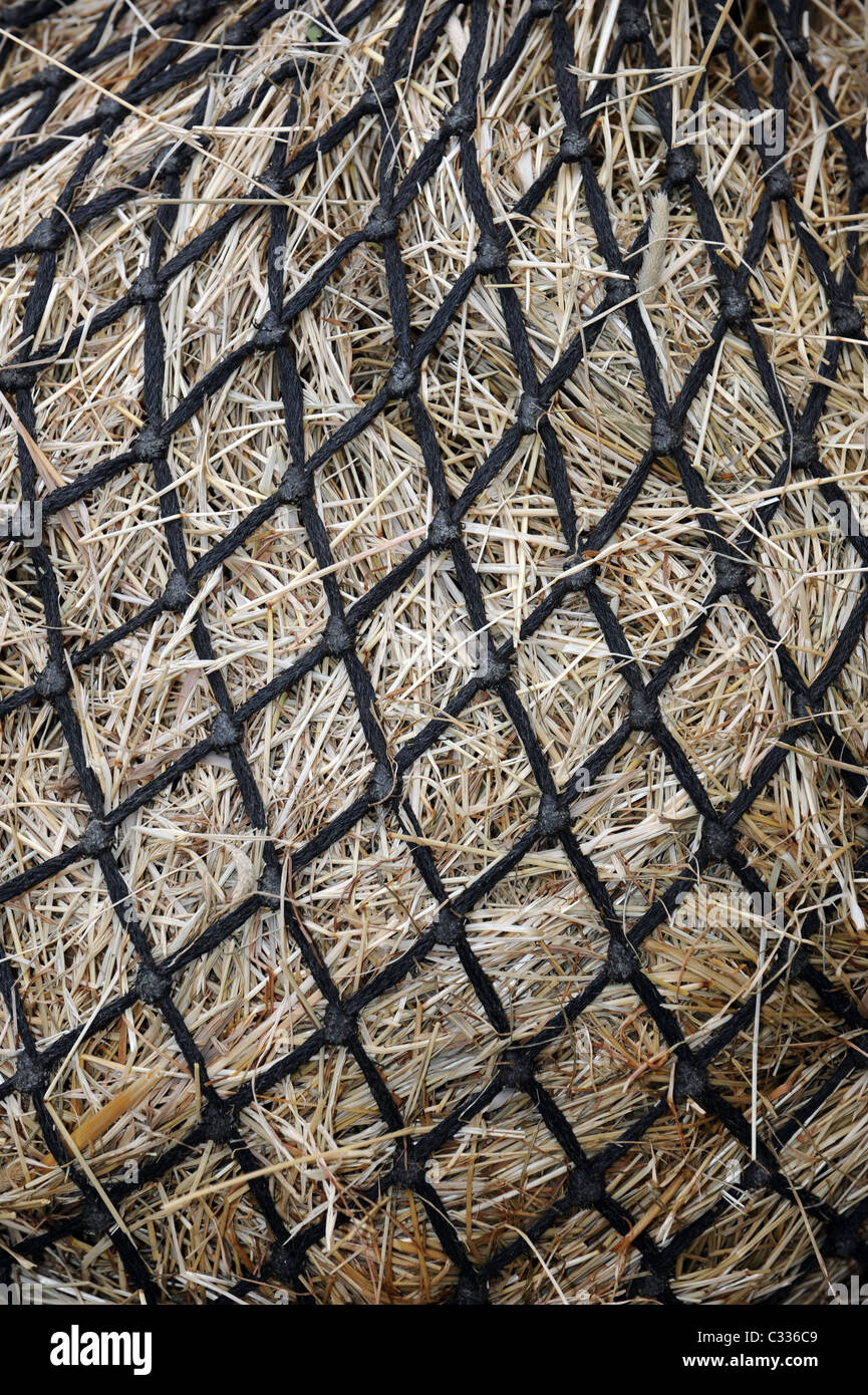 Haylage horse hi-res stock photography and images - Alamy