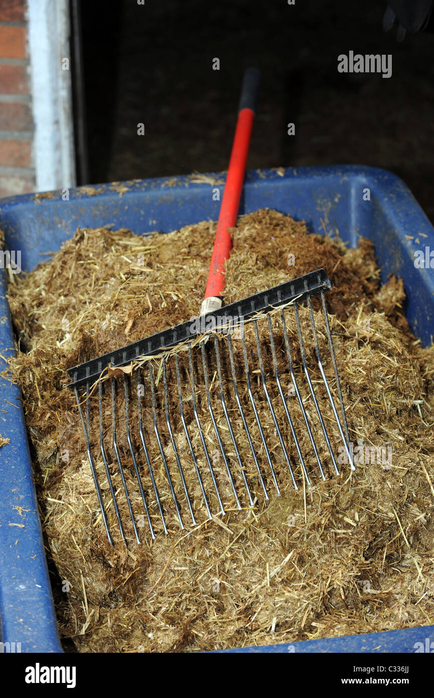 Used Bedding from a Horse Stable after Mucking Out Stock Photo Alamy