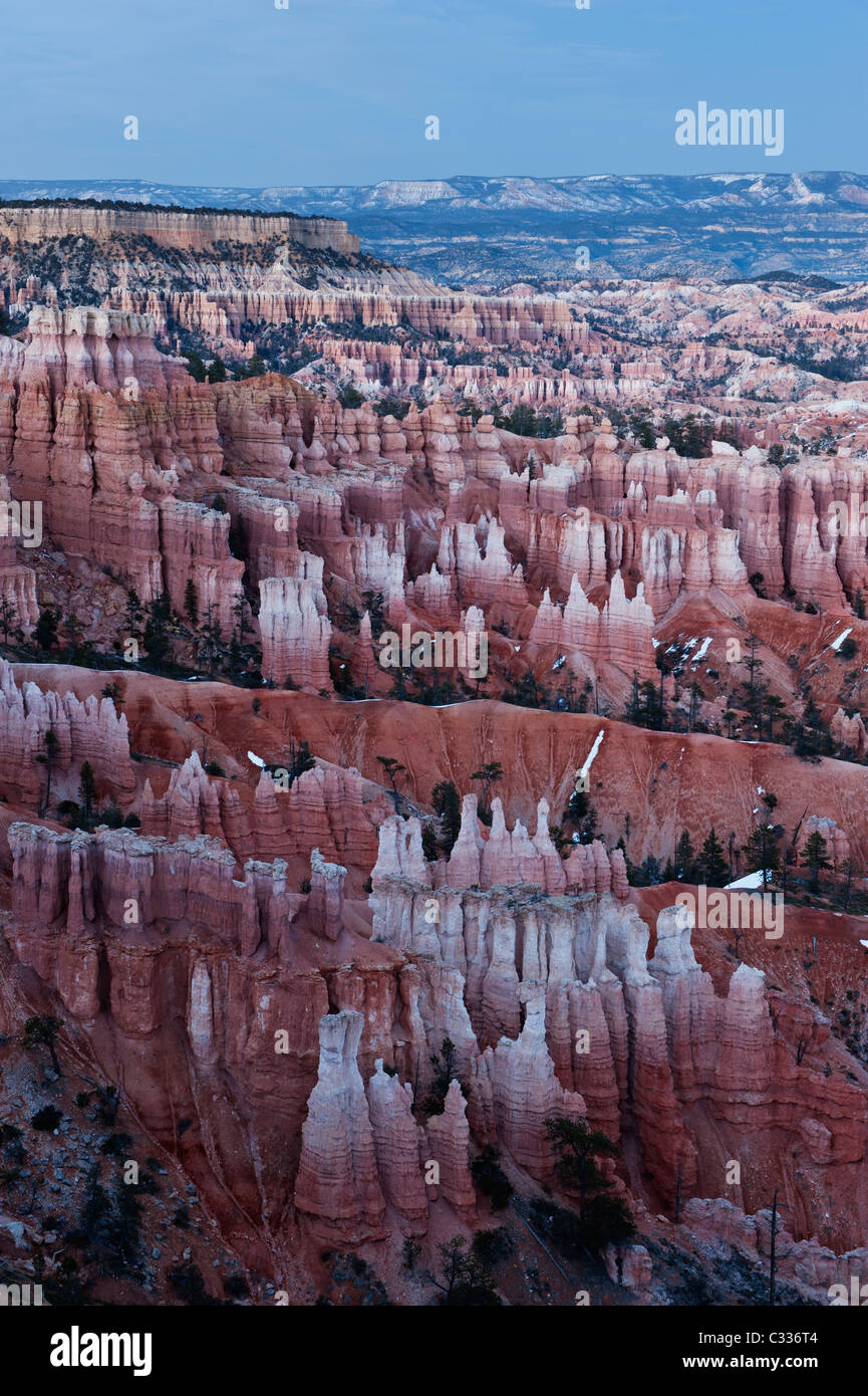 Hoodoo rock formations of the Amphitheater, Bryce Canyon national park, Utah, USA Stock Photo