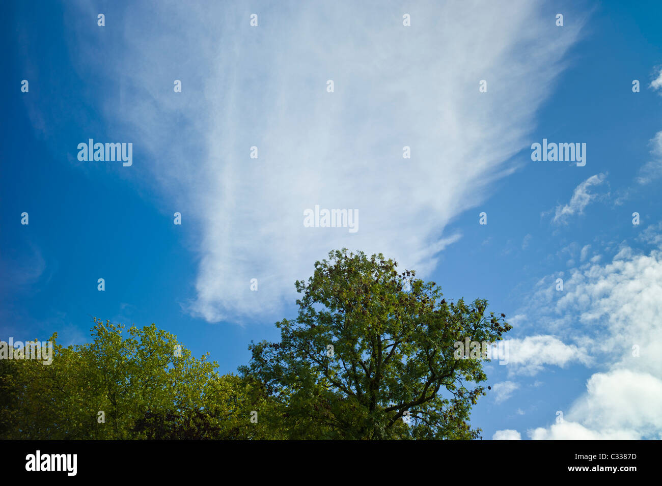 Cirrostratus, a form of Cirrus cloud, in blue sky Stock Photo