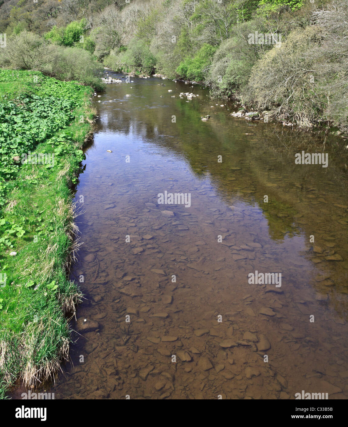 Abbey St Bathans, Berwickshire, Scotland River Whiteadder Stock Photo