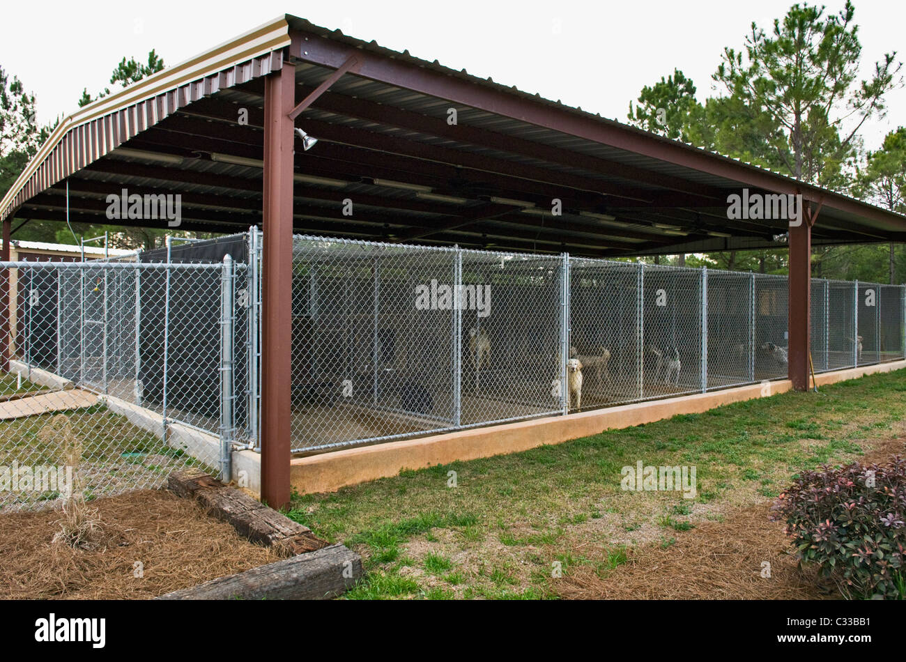Dog Kennel at Wynfield Plantation in Dougherty County, Stock
