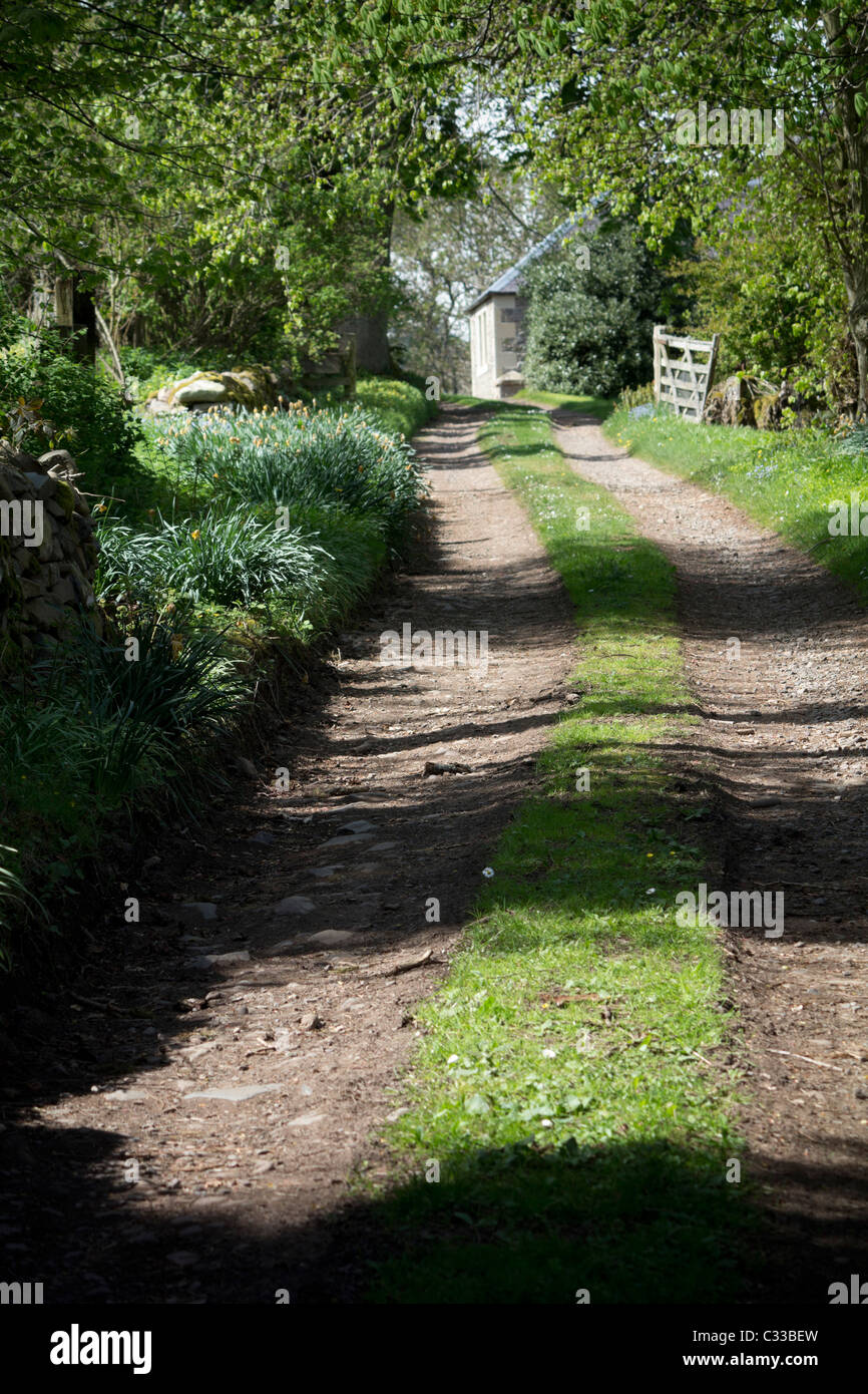 Abbey st bathans house hires stock photography and images Alamy