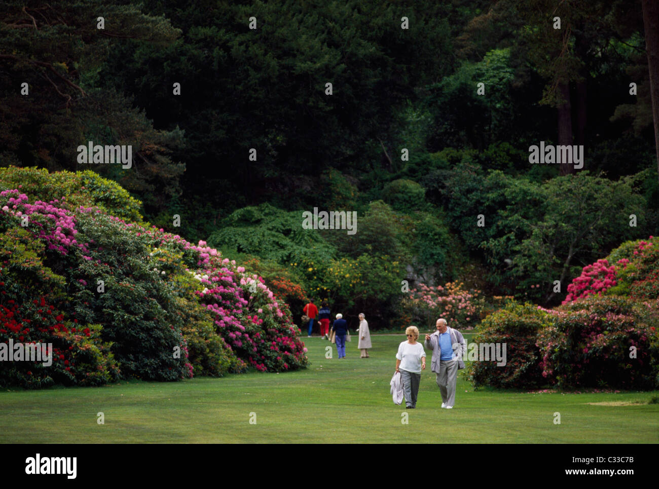Killarney, Co Kerry, Ireland, Garden Of Muckross House Stock Photo