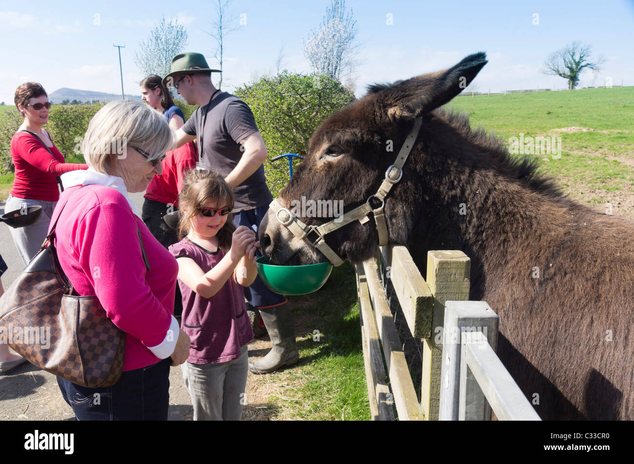 The Scottish Borders Donkey Sanctuary, The Holmes, St Boswells