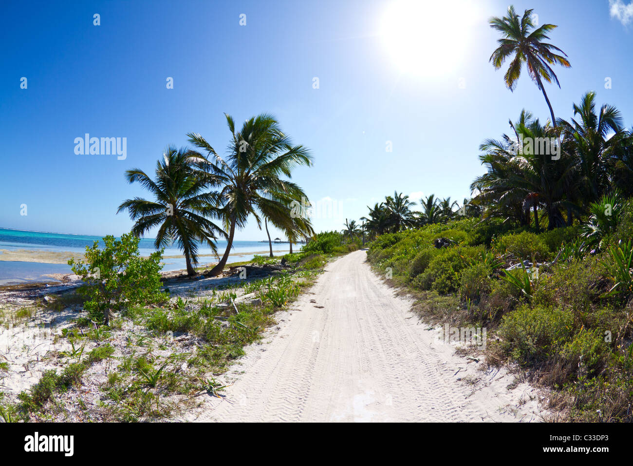 The busy highway on a remote island off Belize. Stock Photo