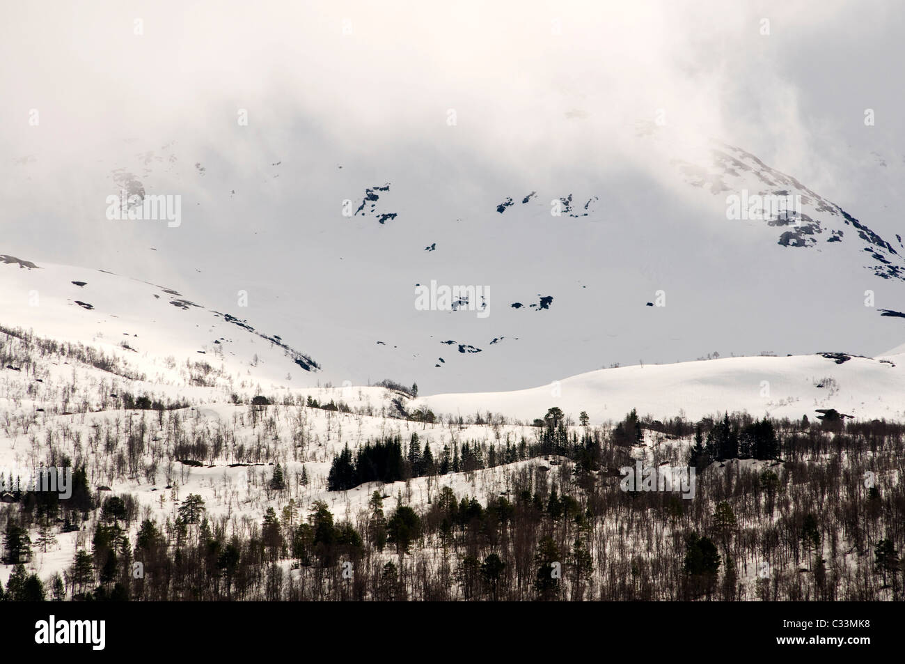 The tree line on a snow covered mountain in Norway Stock Photo
