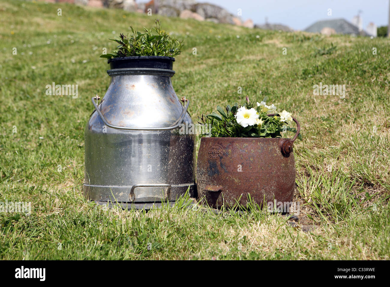 milk churn and pot of flowers Stock Photo