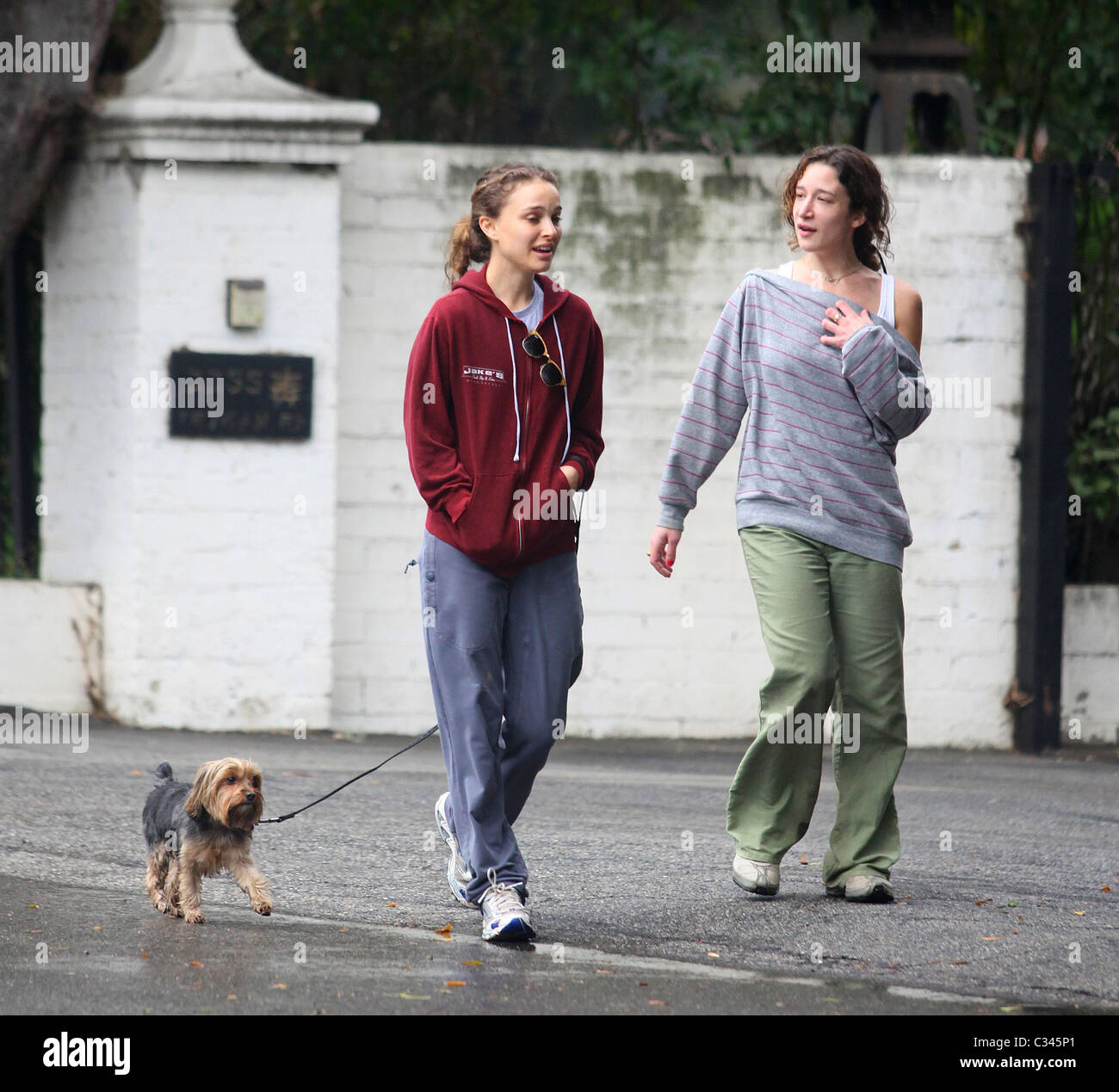 Dog sitting north hollywood 2025