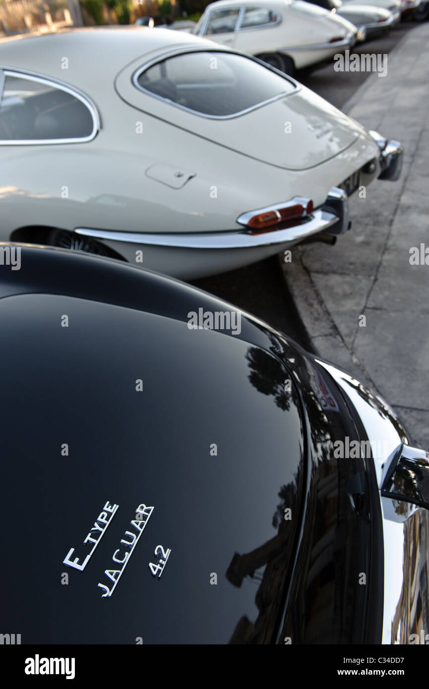 Rear view of the backs of four Jaguar E Type vintage british sports cars Stock Photo