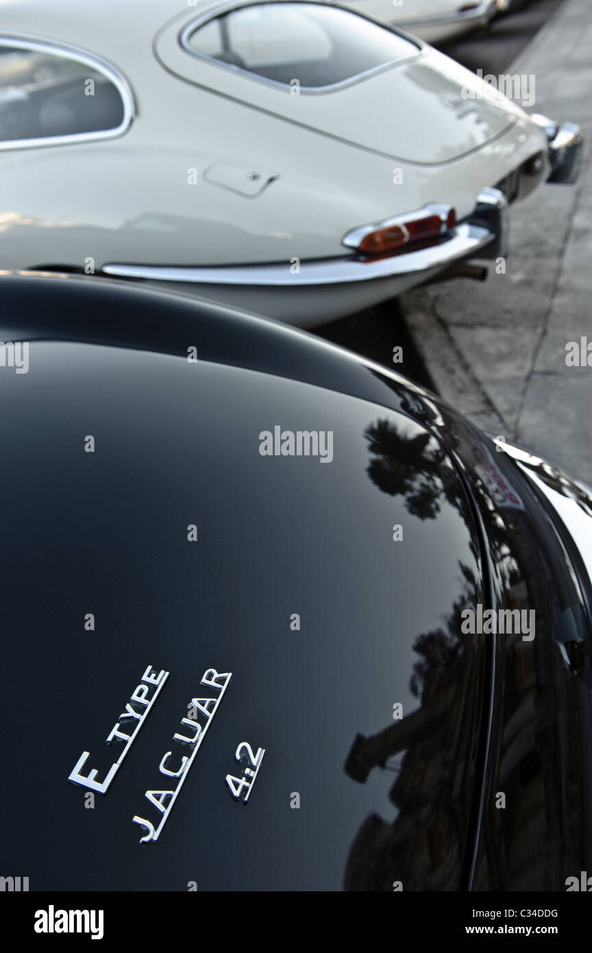 Rear view of the backs of four Jaguar E Type vintage british sports cars Stock Photo