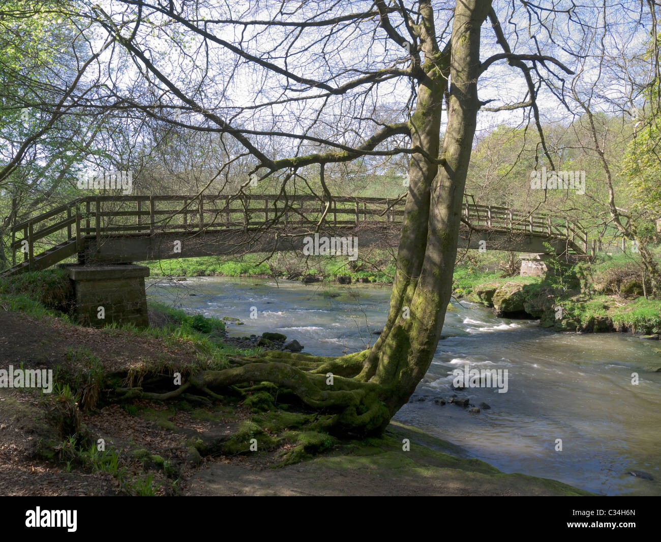 The 'Wallace Bridge' over the River Avon, near 'Wallace's Cave' in