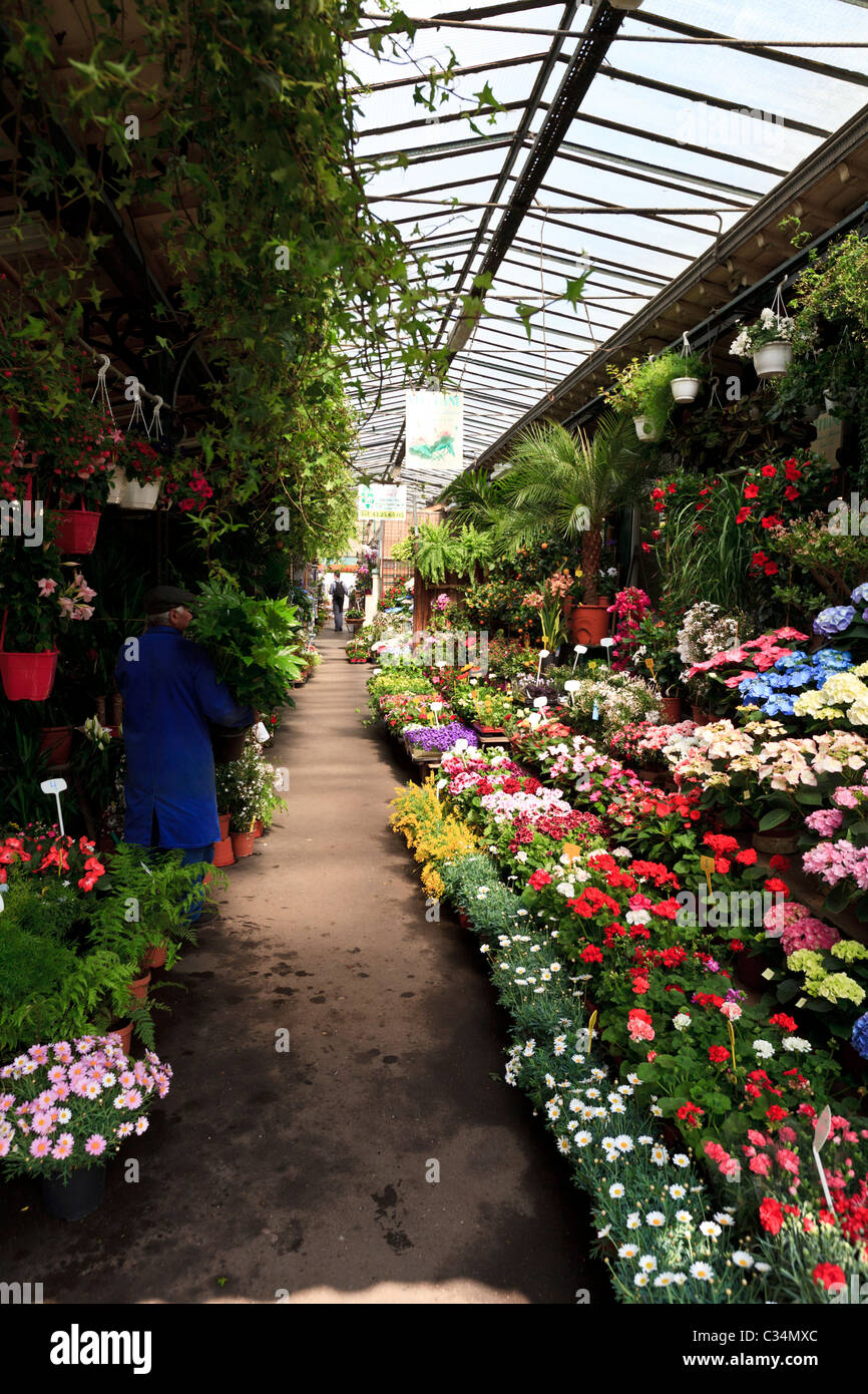 A garden center on the Ile de la Cite, Paris, France Stock Photo