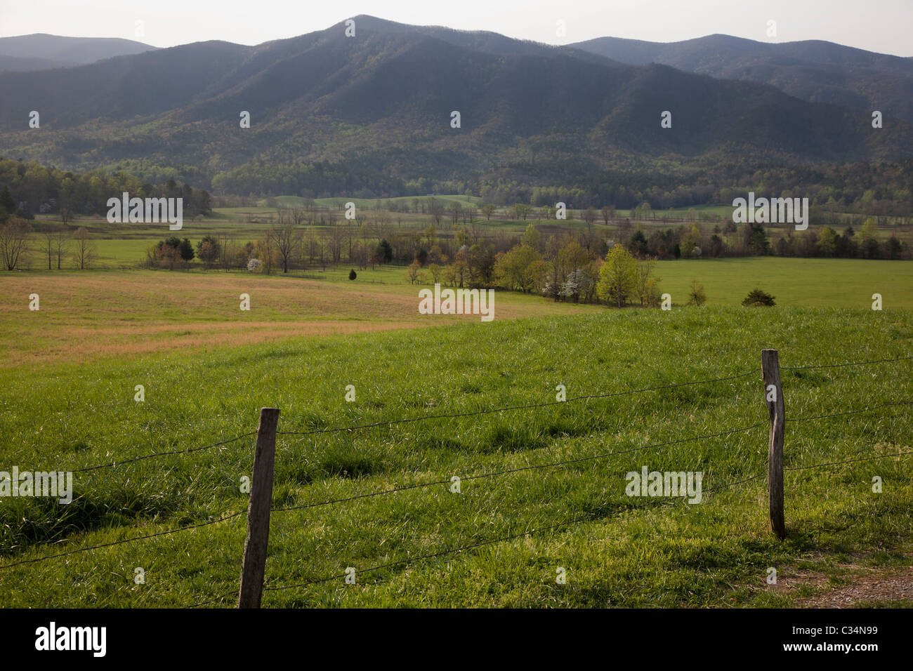 Great Smoky Mountains National Park, Tennessee - Cades Cove. Stock Photo