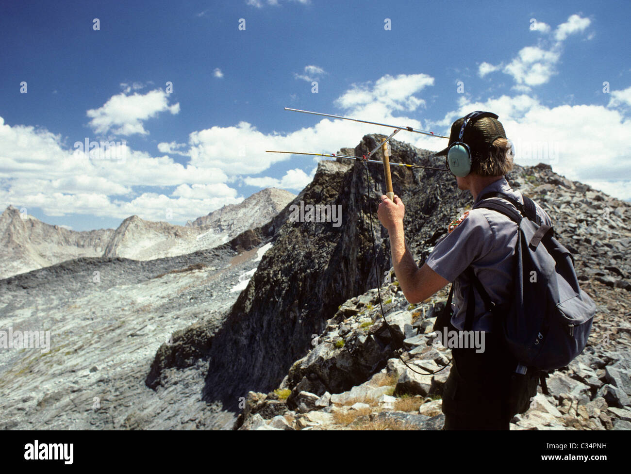 Park Ranger Using Radio Tracking Equipment, Sequoia and Kings Canyon