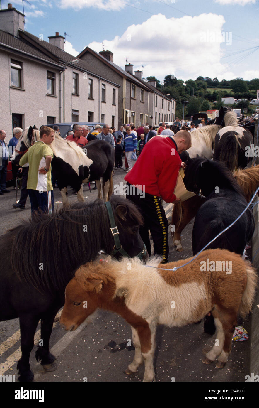 Ballycastle,Co Antrim,Ireland;Selling Horses At The Lemass Fair Stock Photo