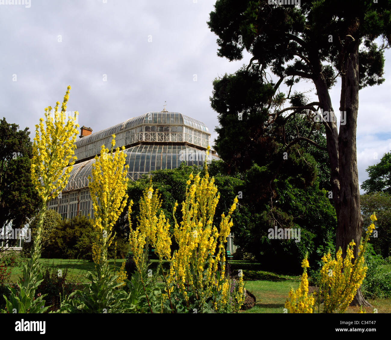 Irish National Botanic Gardens, Dublin, Ireland Stock Photo