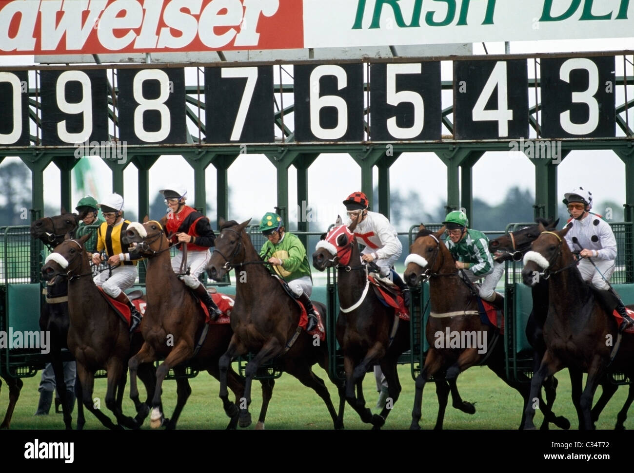 Horse Racing, Ireland Stock Photo