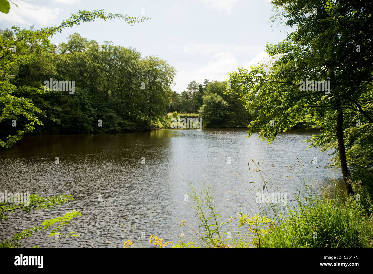 The man-made lake on Ingleborough estate nature trail in the village of Clapham, North Yorkshire. Stock Photo