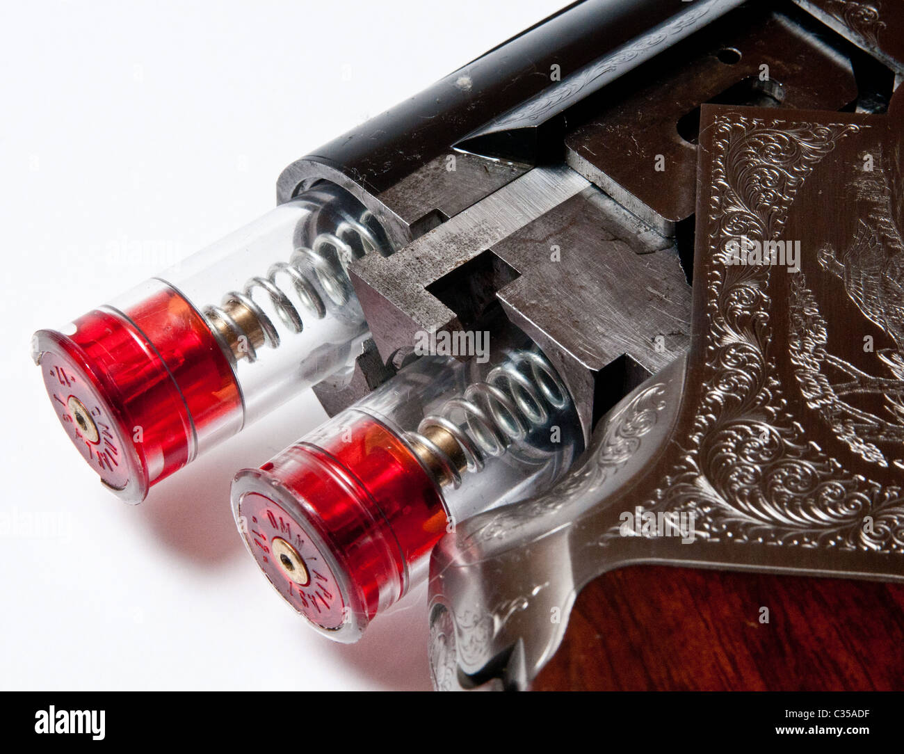 Snap caps, in the chamber of a under and over shotgun; snap caps are