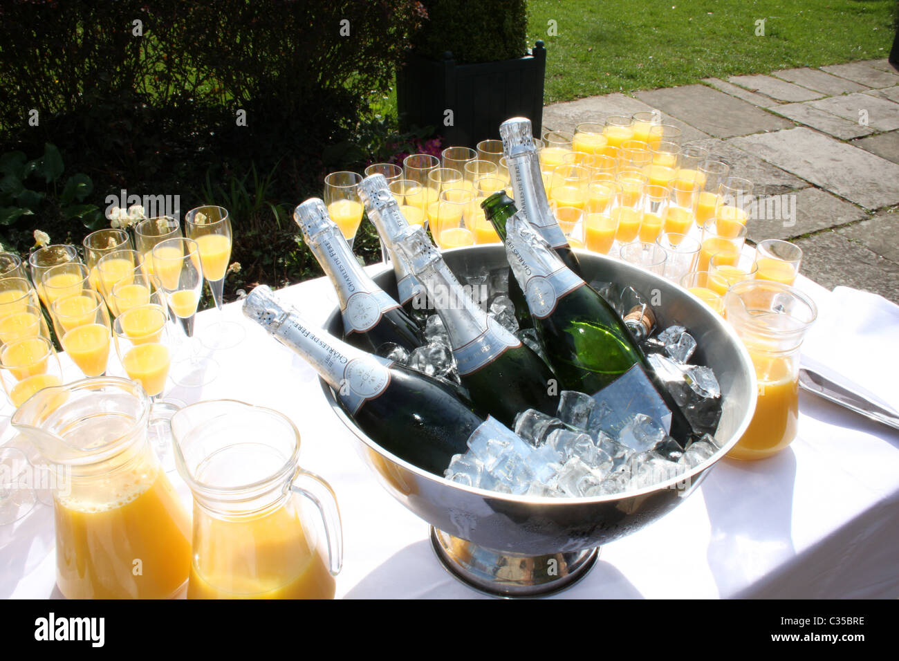 6 bottles of champagne in an ice bucket Stock Photo Alamy