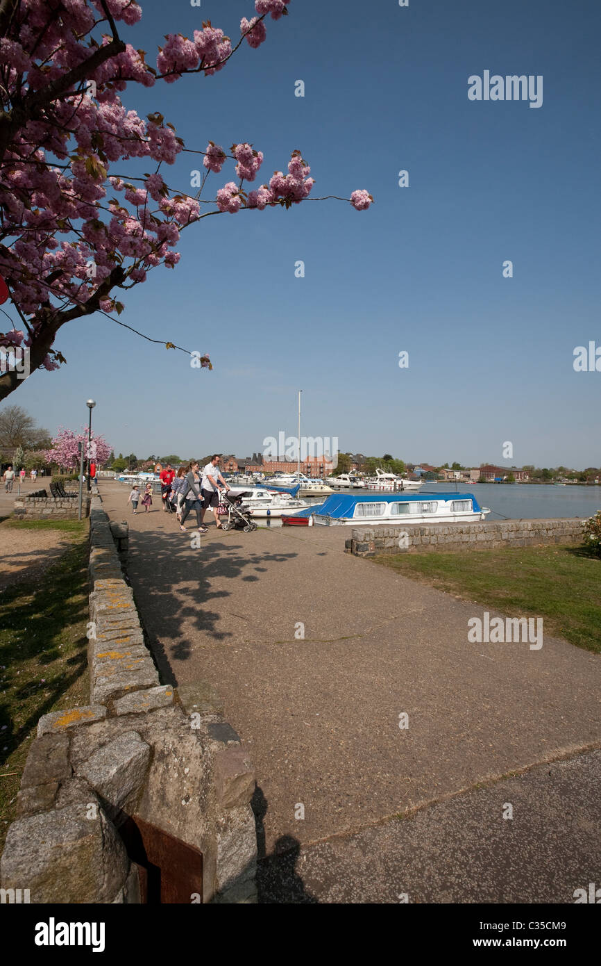 Oulton Broad Suffolk Norfolk Broads Stock Photo Alamy