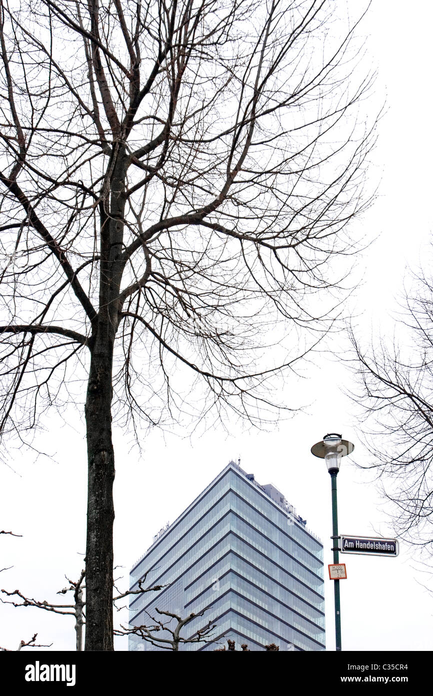 Tree and building in the background, Dusseldorf. Germany. Stock Photo