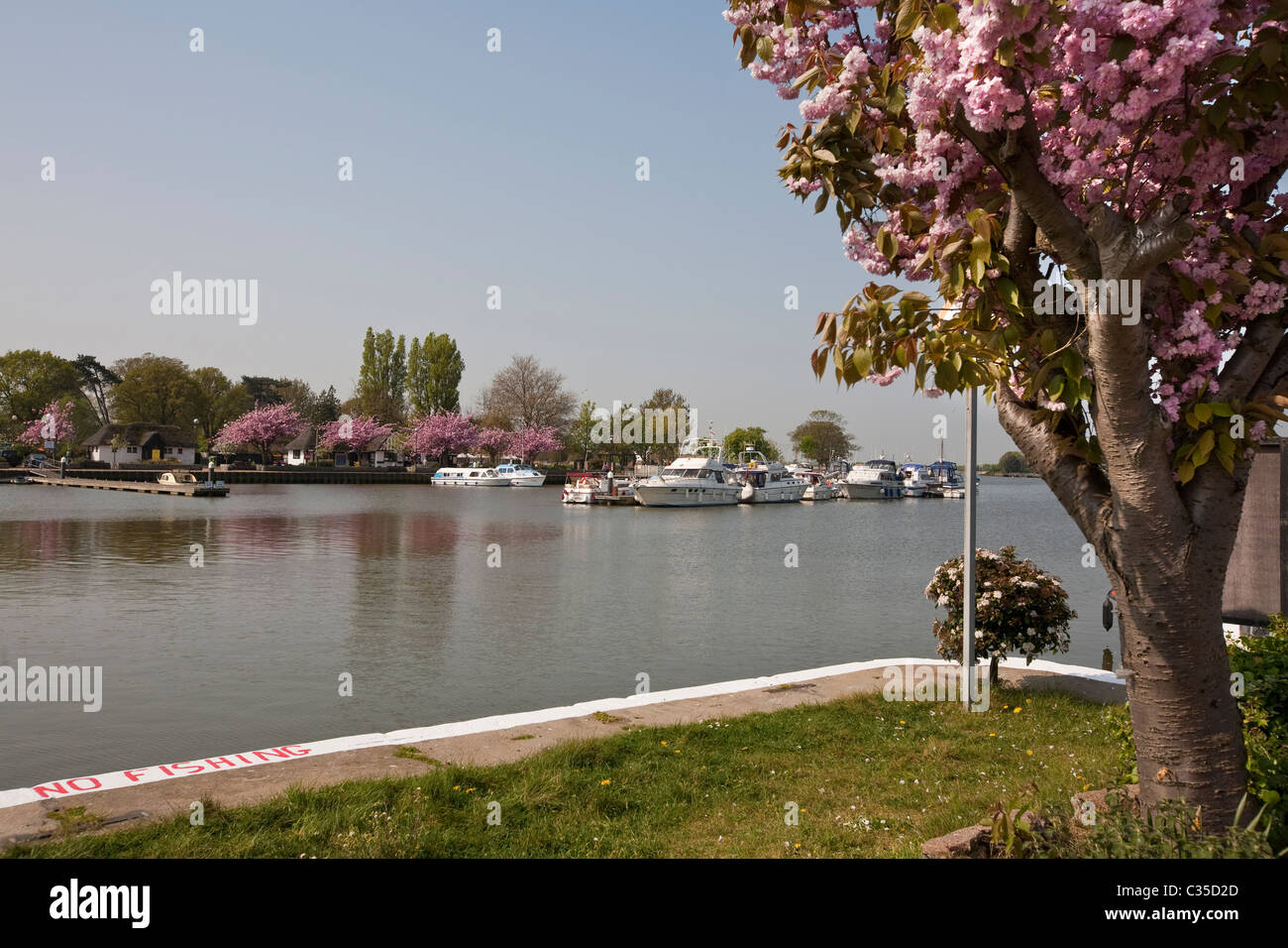 Oulton broad suffolk hires stock photography and images Alamy