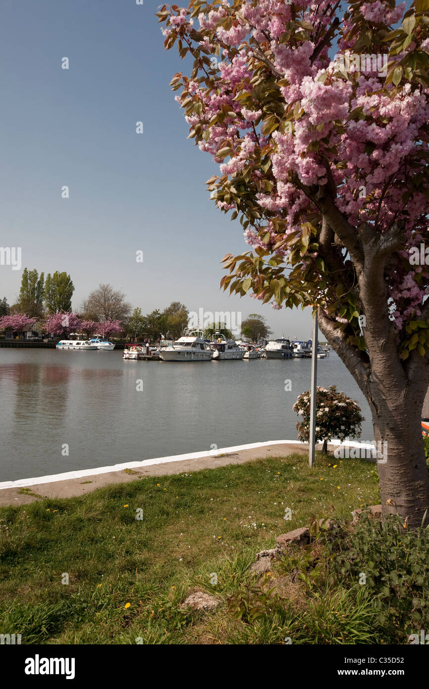 Oulton Broad Suffolk Norfolk Broads Stock Photo Alamy