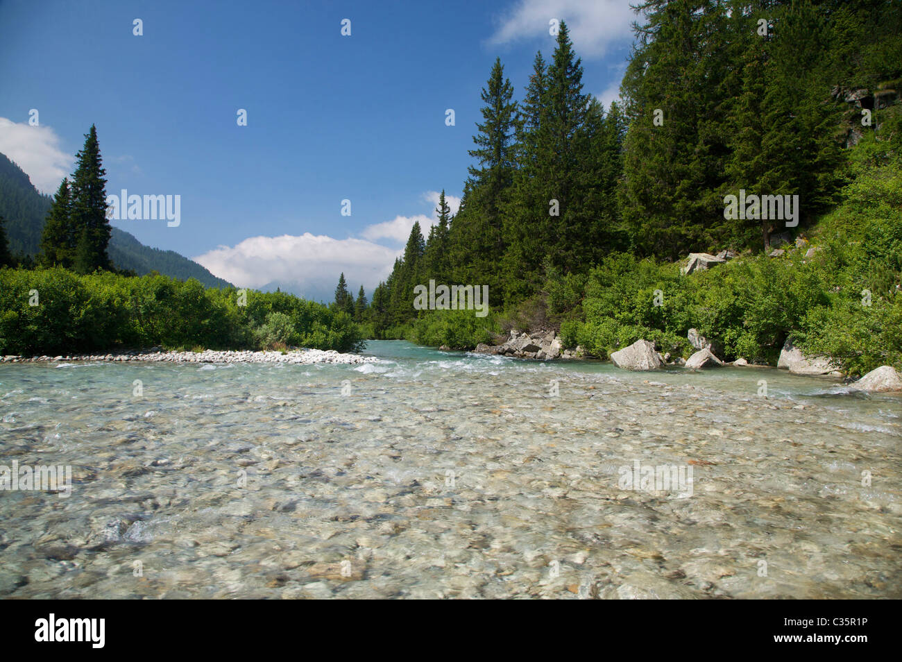 Chiese river in Adamello-Brenta Natural Park, Fumo Valley, Val di Daone, Valli Giudicarie, Trentino Alto Adige, Italy, Europe Stock Photo