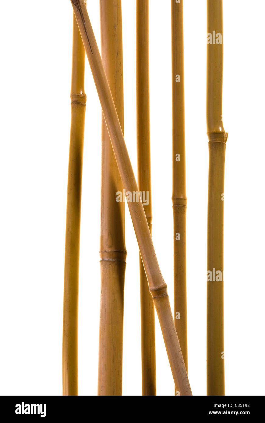 Bamboo rod hires stock photography and images Alamy