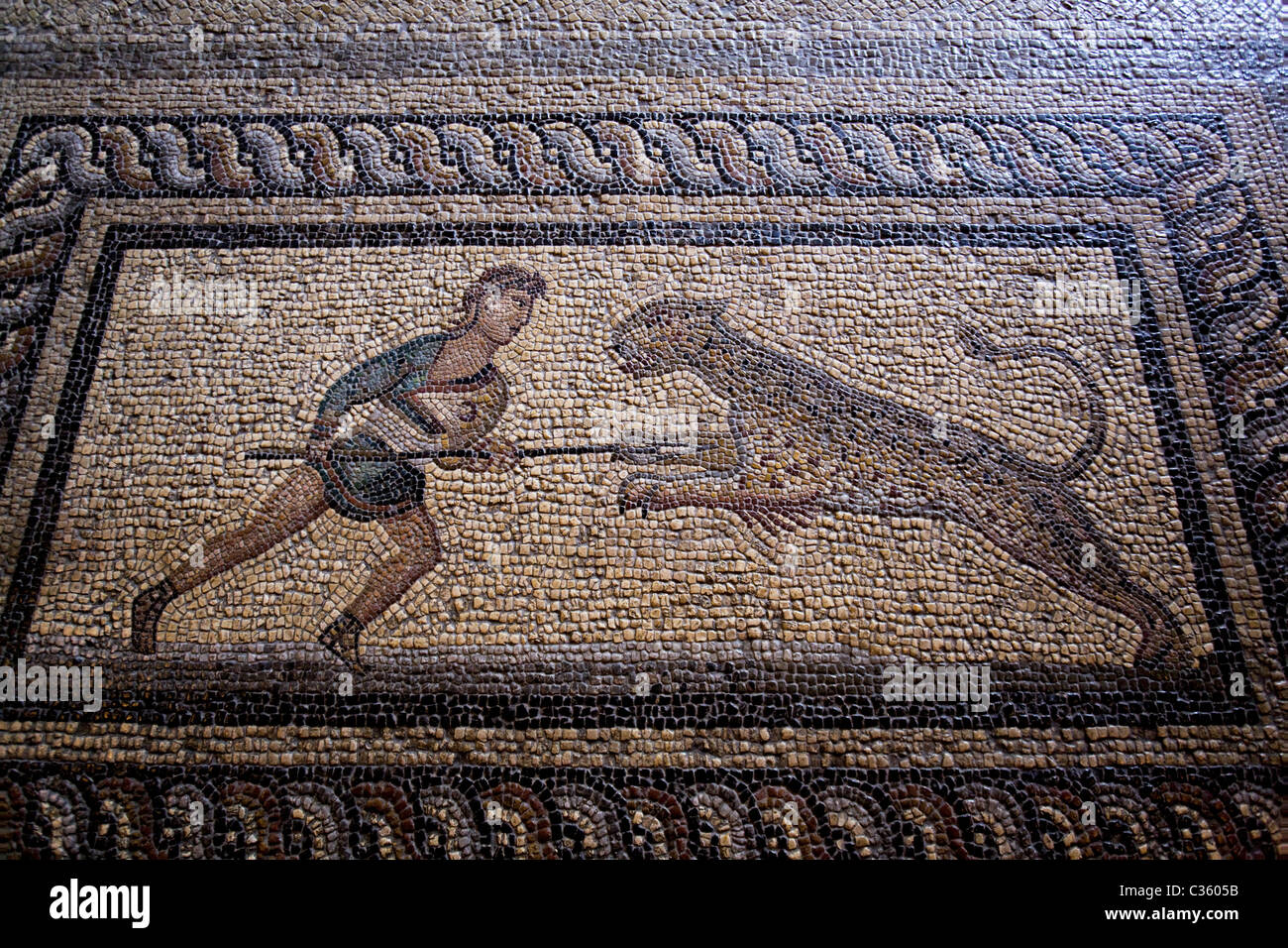 Mosaic, Palace of the Grand Master, Rhodes, Dodecanese, Greek Islands, Greece Stock Photo