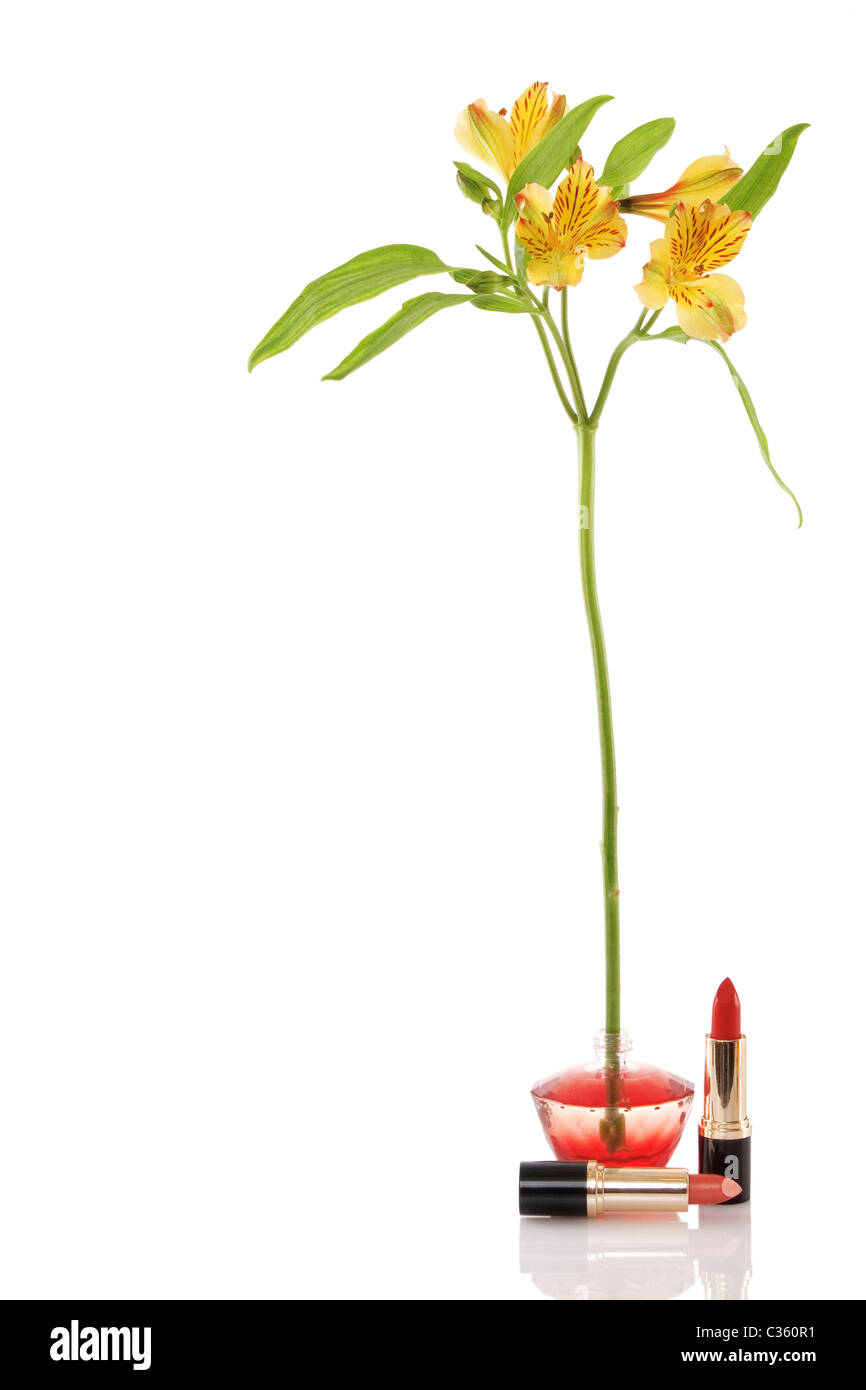 perfume bottle, yellow flower and two red lipstick on white background Stock Photo