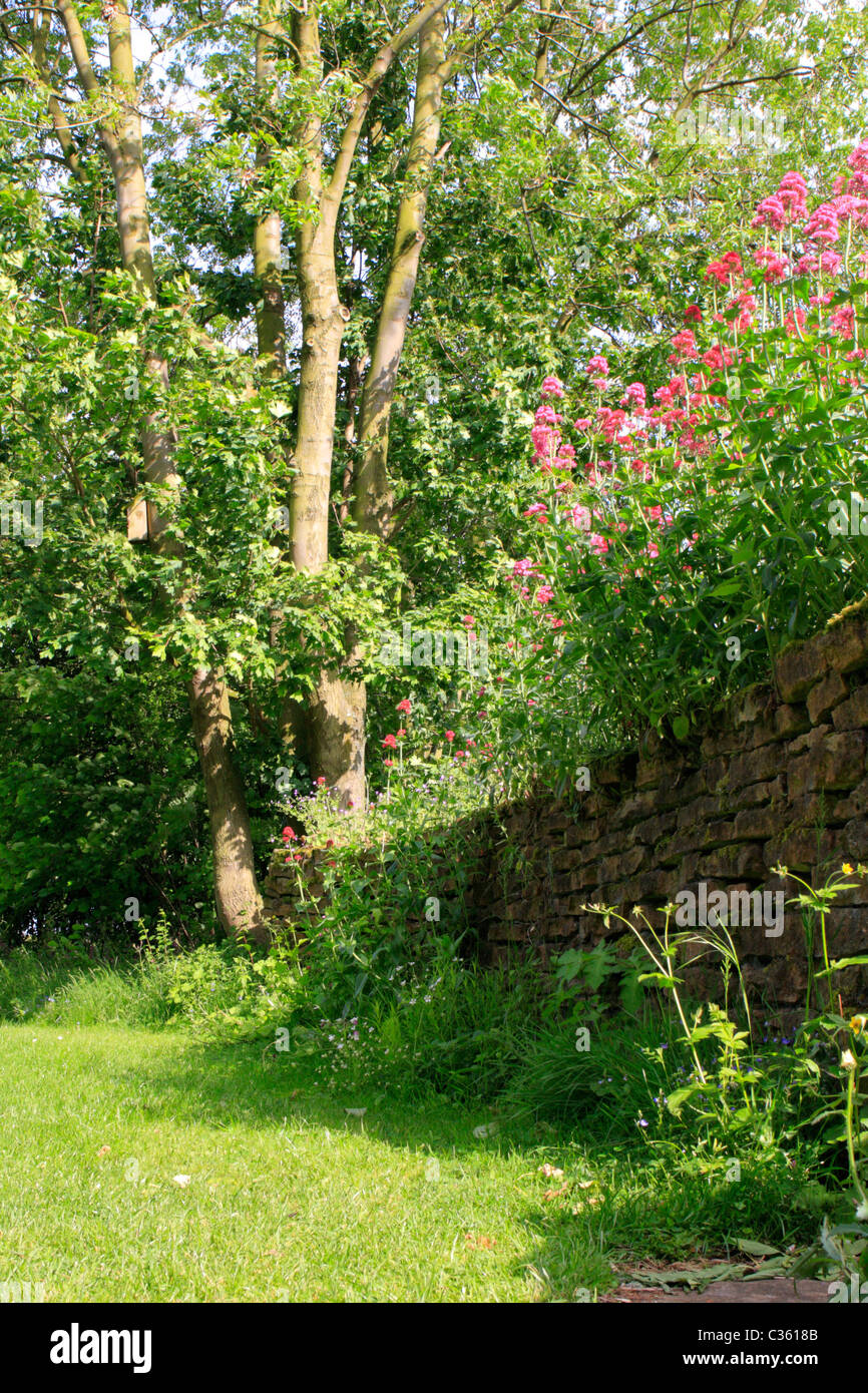 Dry stone wall garden hi-res stock photography and images - Alamy