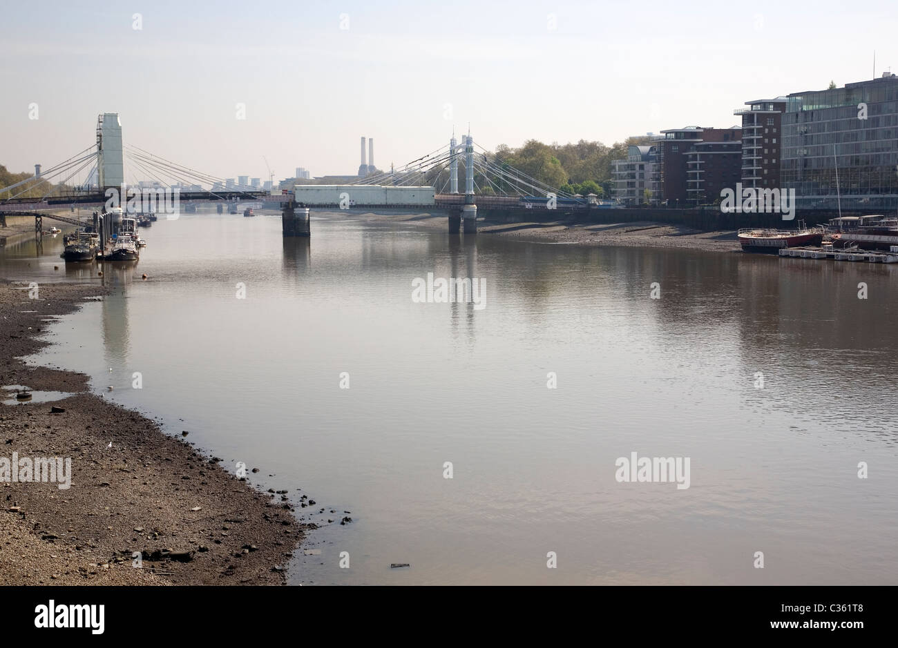 View of Albert Bridge over River Thames - West london Stock Photo - Alamy