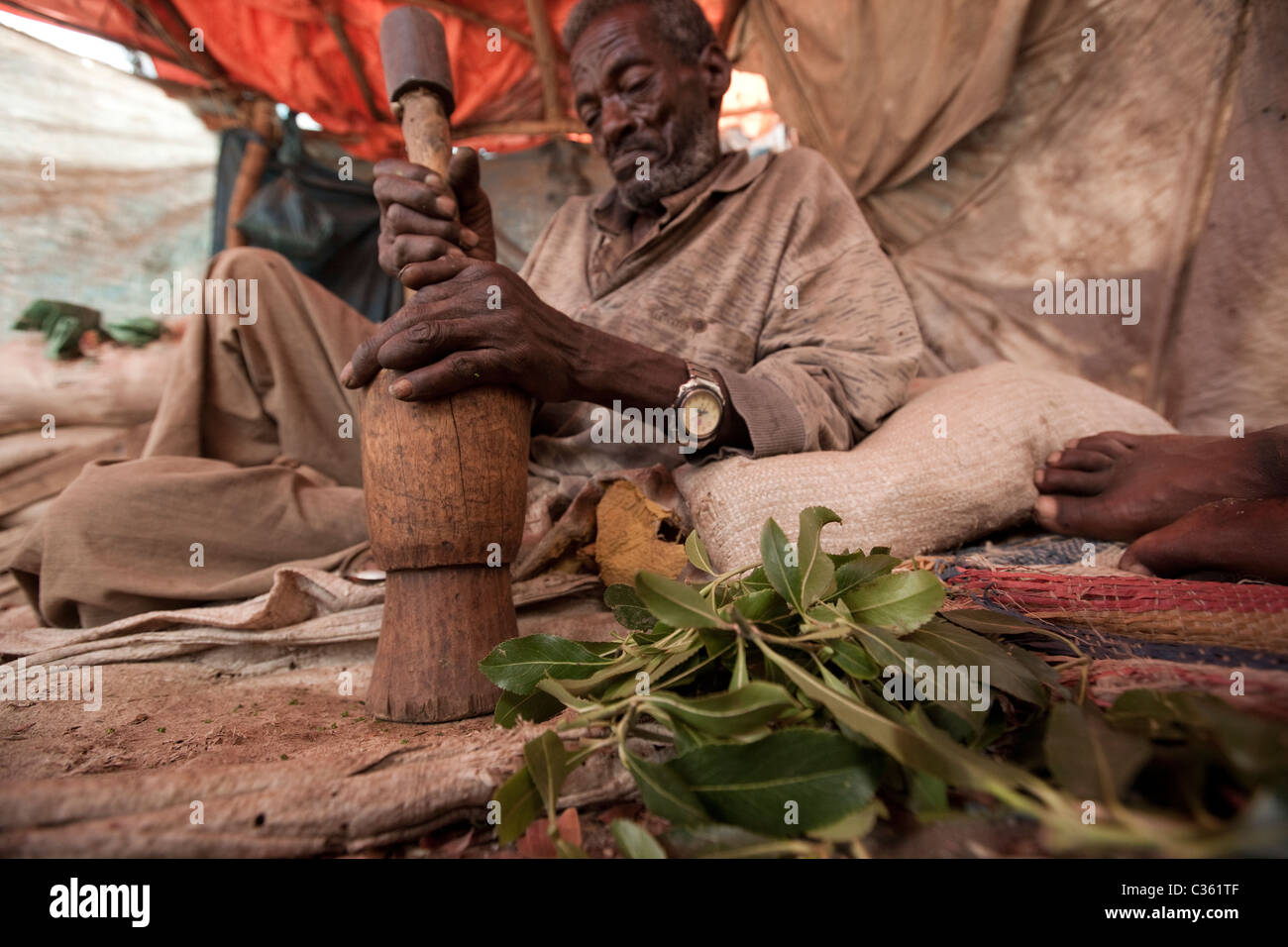 Khat chewer pounding leaves - Old Town, Harar Ethiopia, Africa Stock Photo