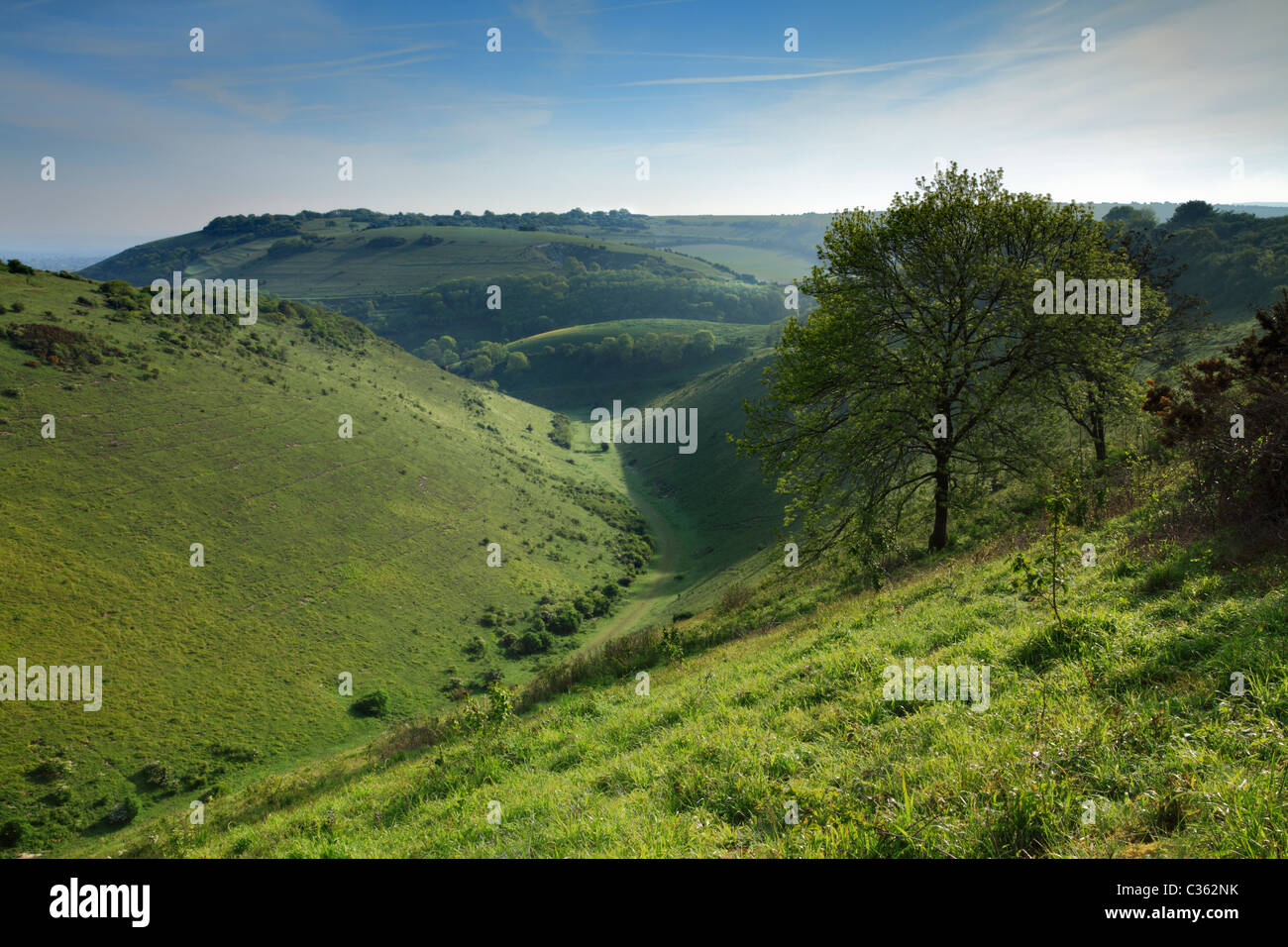 Devils Dyke at Dawn, West Sussex. Stock Photo