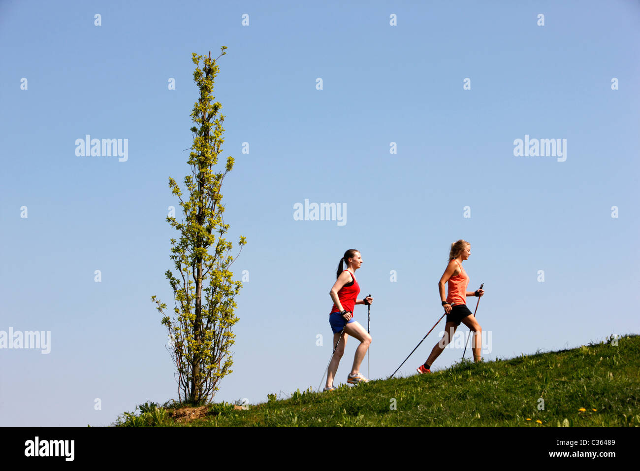 Walking sticks hires stock photography and images Alamy