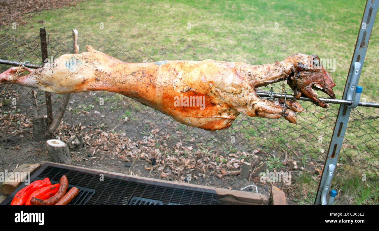 A Whole Lamb Roasting On A Spit For The Greek Easter Stock