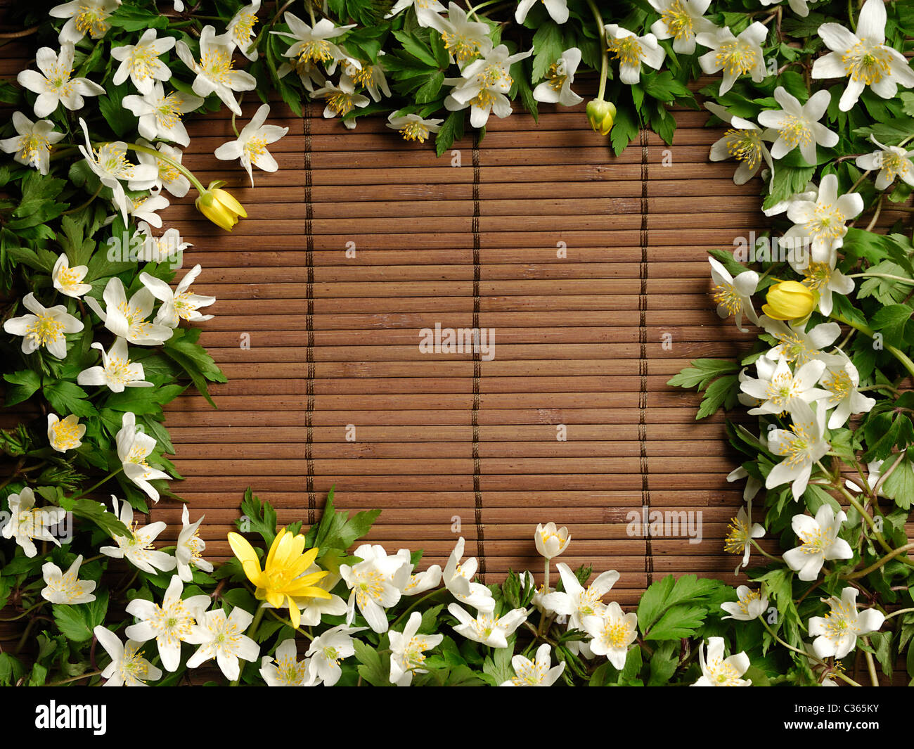 Spring Yellow Florals on Wooden Flat Base