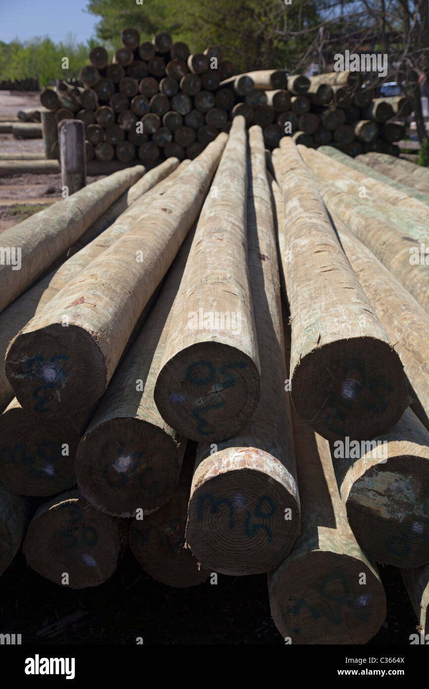 Sweetwater, Tennessee - Piiles of utility poles at a forest products company. Stock Photo