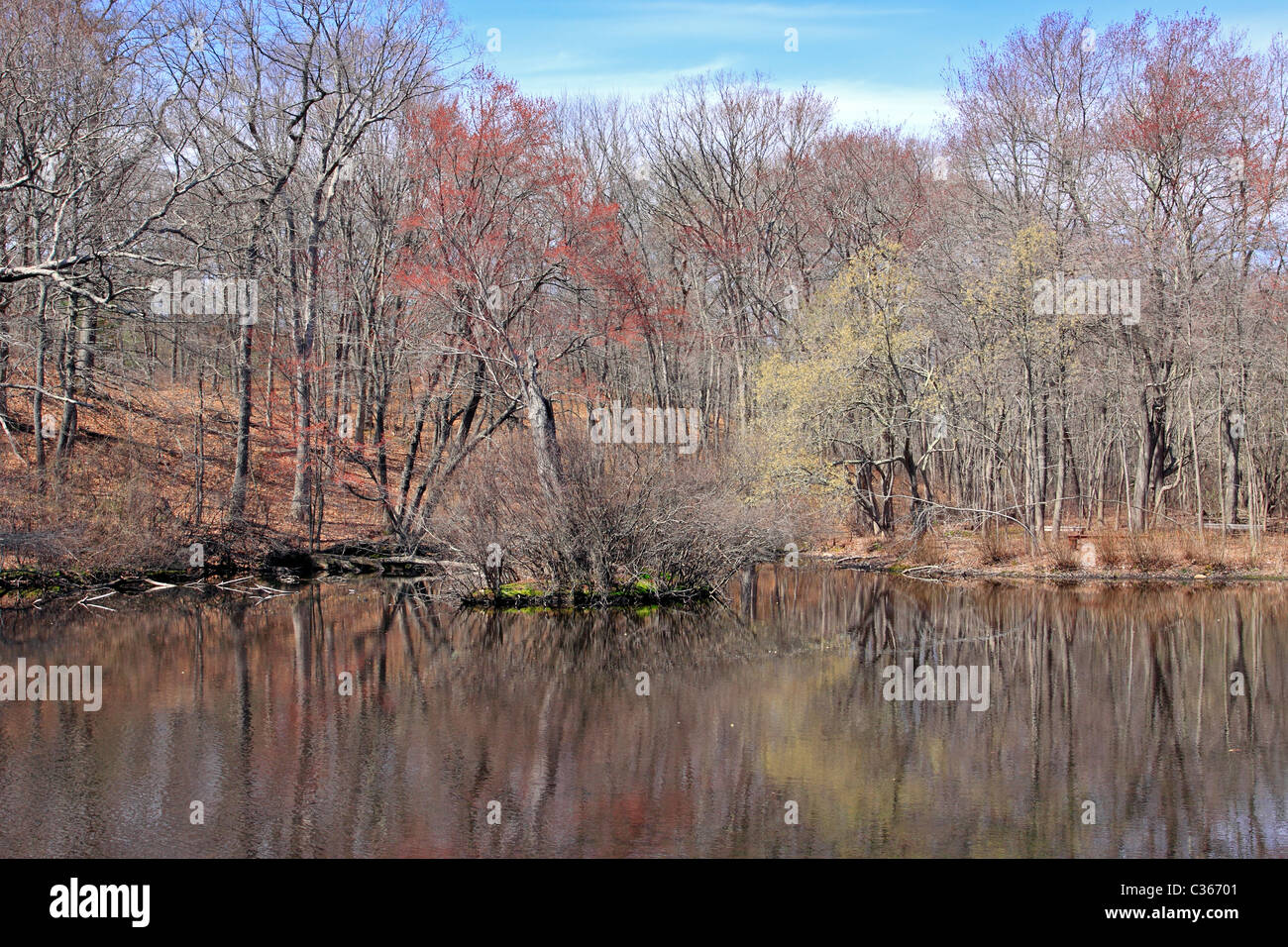 Pond at Caleb Smith State Park, Smithtown, Long Island NY Stock Photo