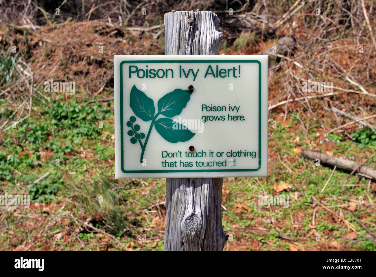 Poison Ivy alert sign, Long Island NY Stock Photo