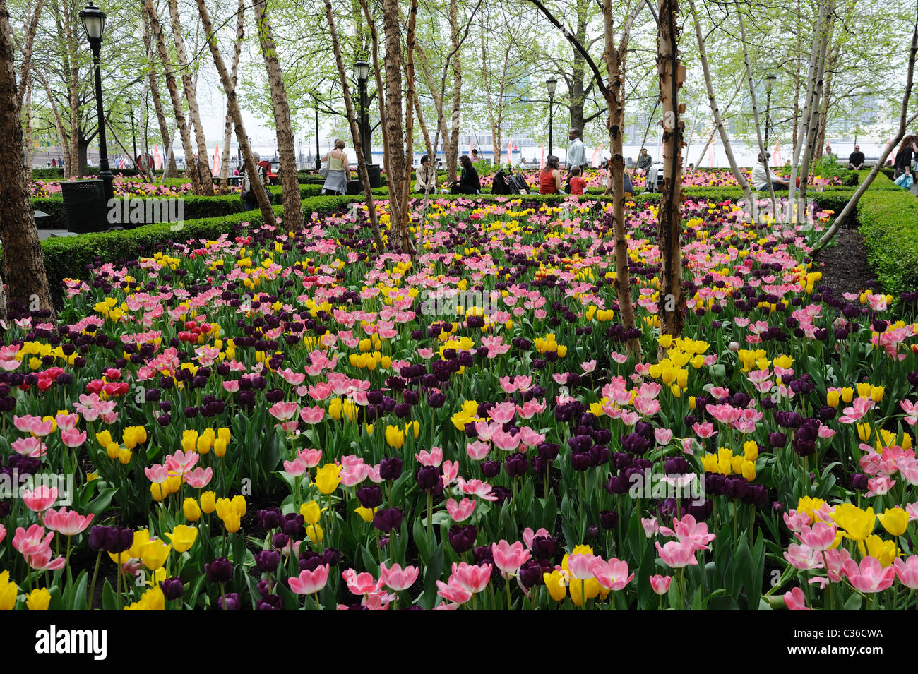 Spring In Battery Park City A Neighborhood Of Manhattan With